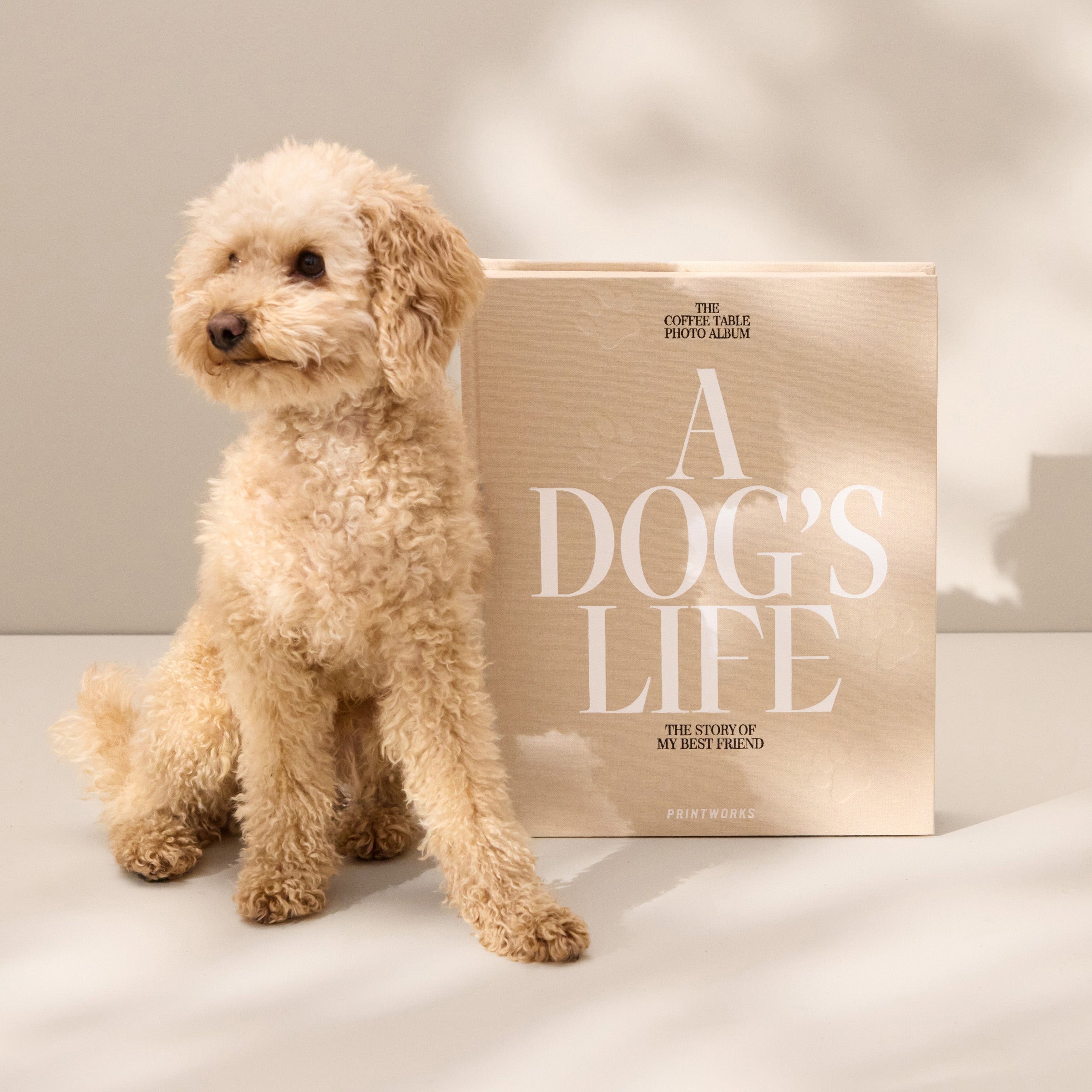 Lenox Westmore A Dog???s Life Photo Album - Image 3