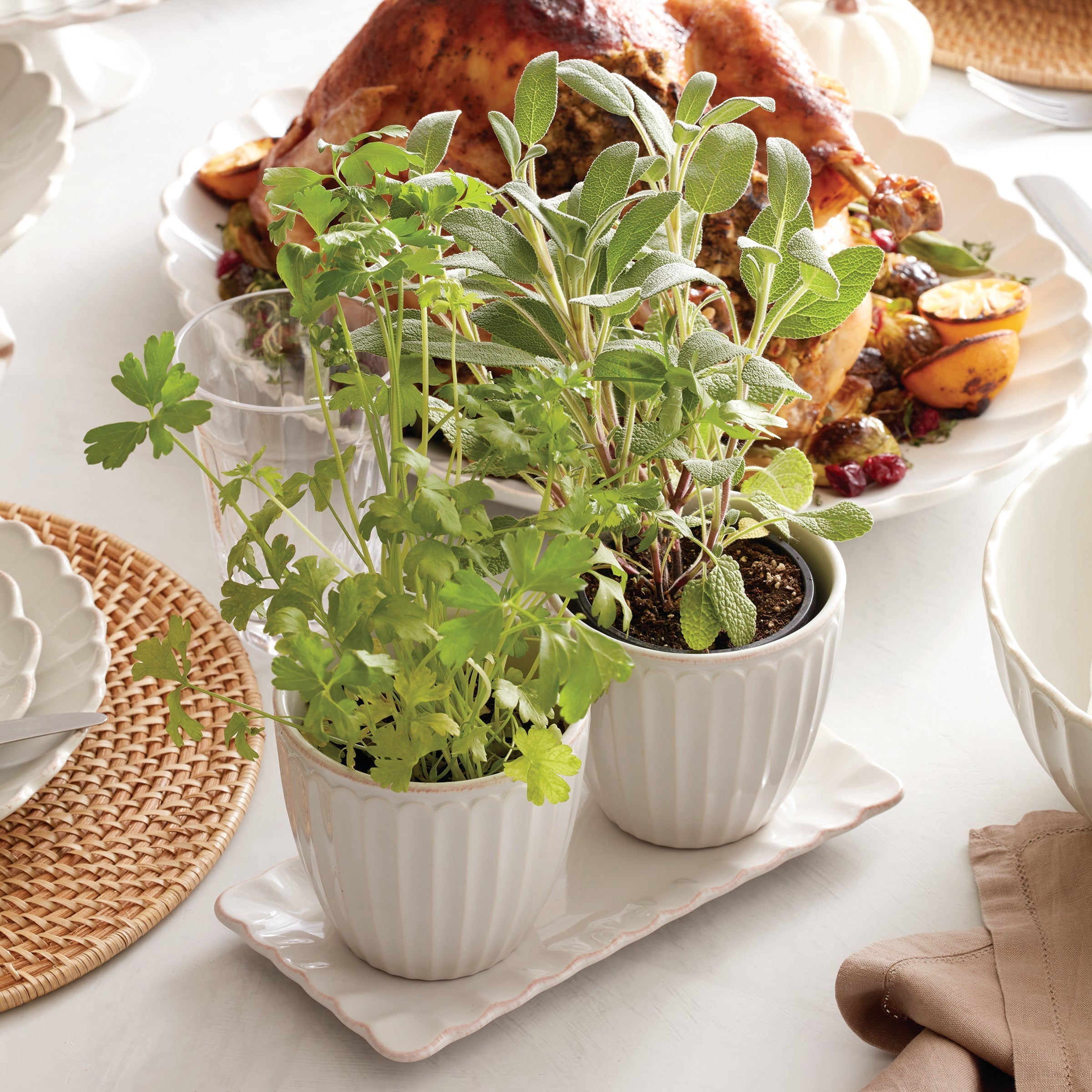Lenox Westmore French Perle Scallop White 3-Piece Herb Pot Set - Image 5