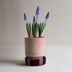 Alternative view of Lenox Westmore Hoff Raw Rosa & Glazed Deep Burgundy 14cm Pot with Saucer