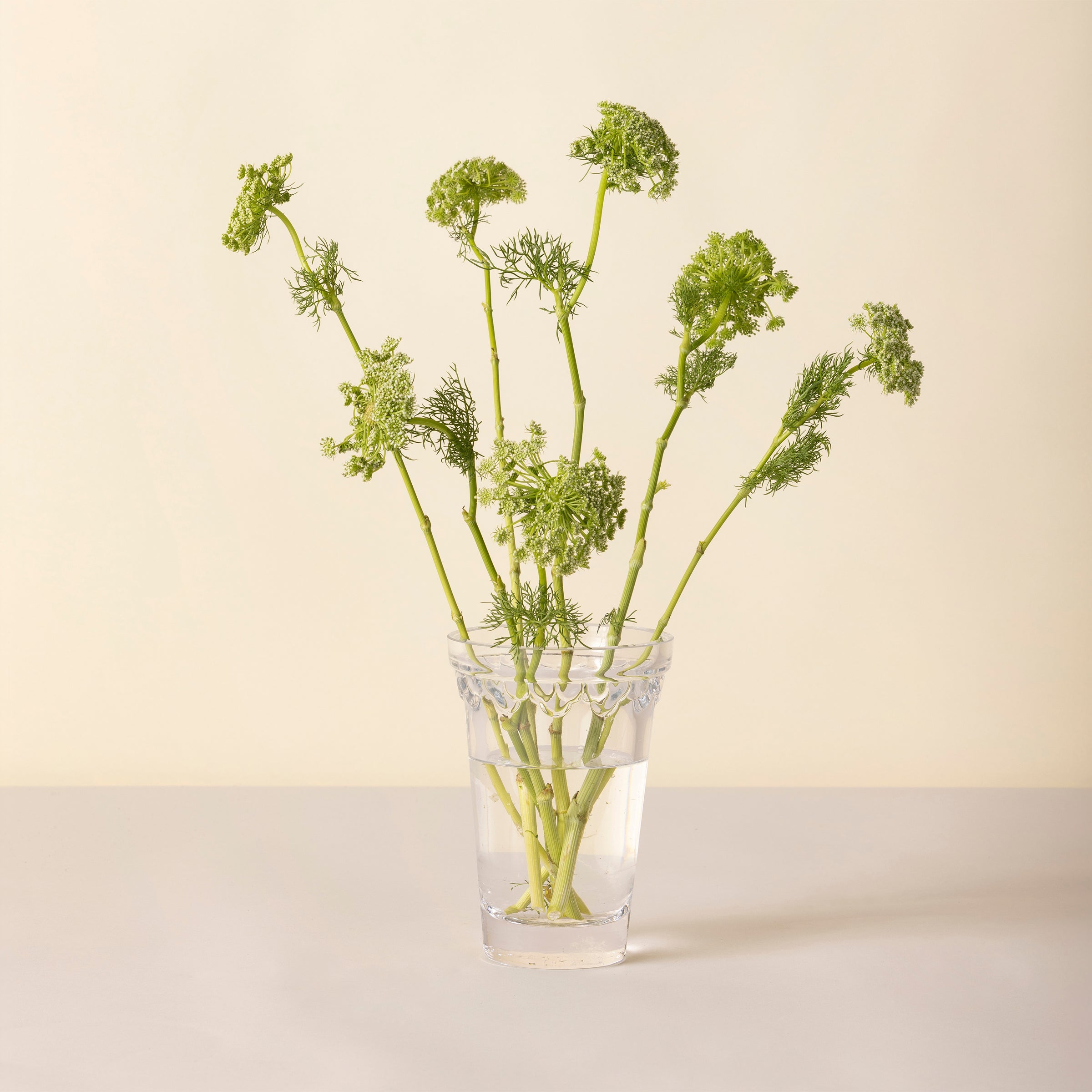Lenox Westmore Kobenhavner Small Clear Glass Vase - Image 2